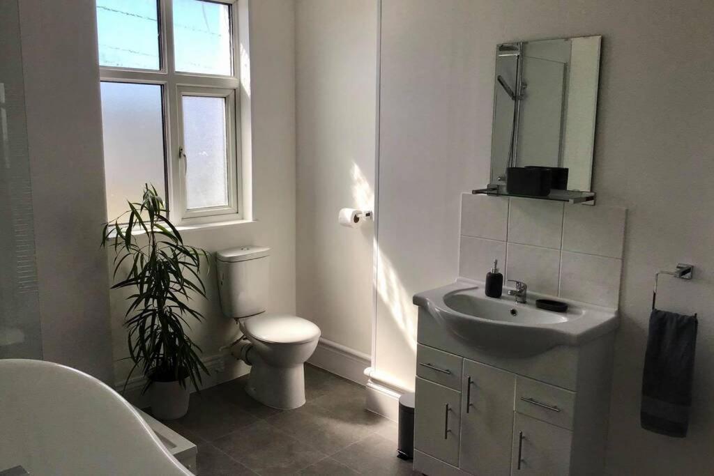 Large 5 Bed 3 Bath House 300 Meters From Beach And Restaurants New Quay Eksteriør billede